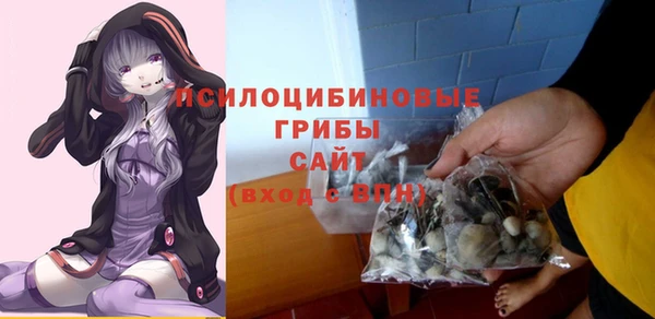 твердый Осинники