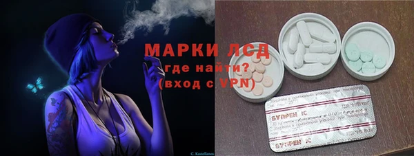 ПСИЛОЦИБИНОВЫЕ ГРИБЫ Галич