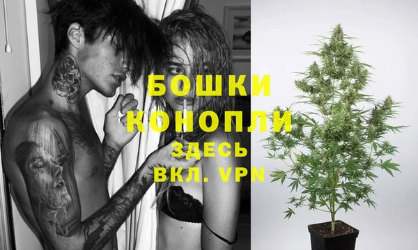 дурь Осташков
