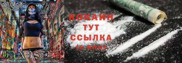 дурь Осташков