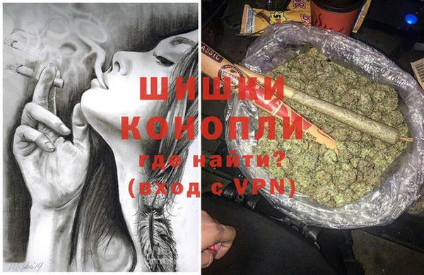 дурь Осташков