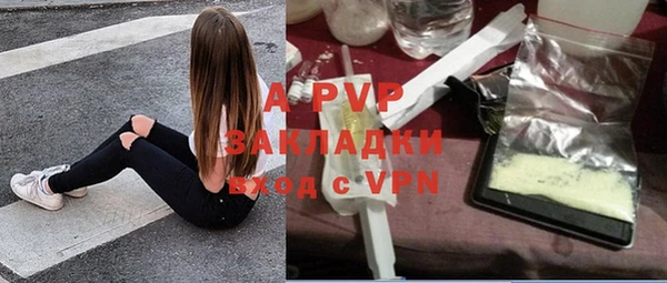 твердый Осинники
