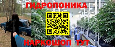 таблы Гусев