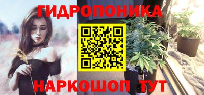 таблы Гусев