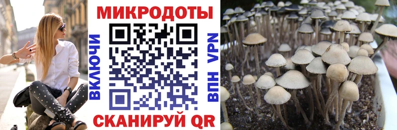 где найти   Пятигорск  маркетплейс какой сайт  Галлюциногенные грибы ЛСД 