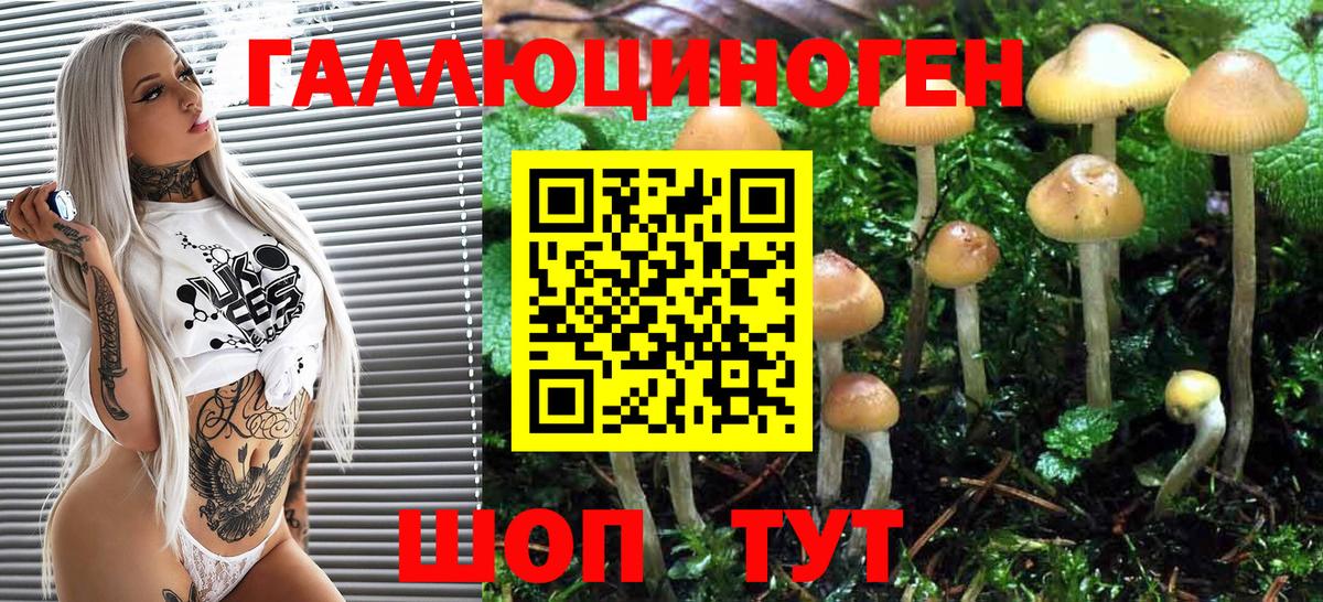 Псилоцибиновые грибы Cubensis  Вход с VPN  Псилоцибиновые грибы GOLDEN TEACHER  Пятигорск 
