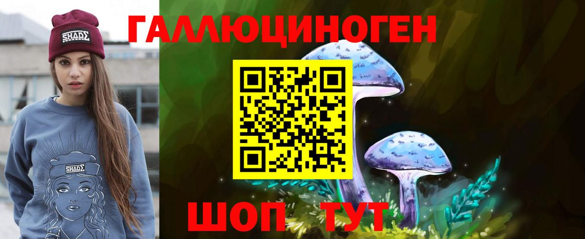 Псилоцибиновые грибы Psilocybine cubensis  Пятигорск 
