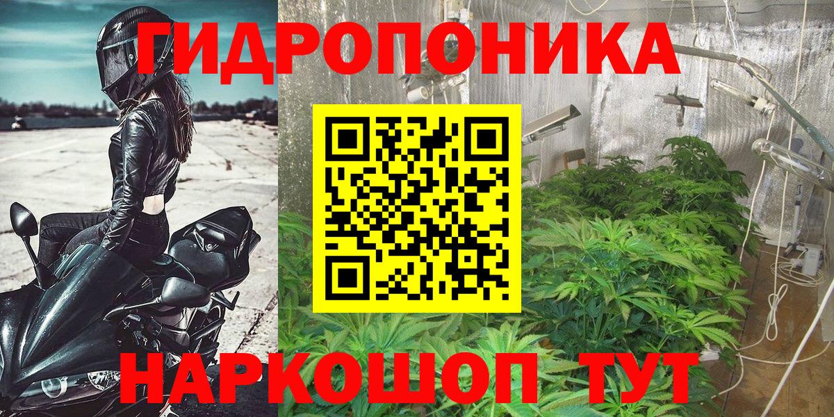 Бошки марихуана OG Kush  МАРИХУАНА планчик  Пятигорск  Вход с VPN 